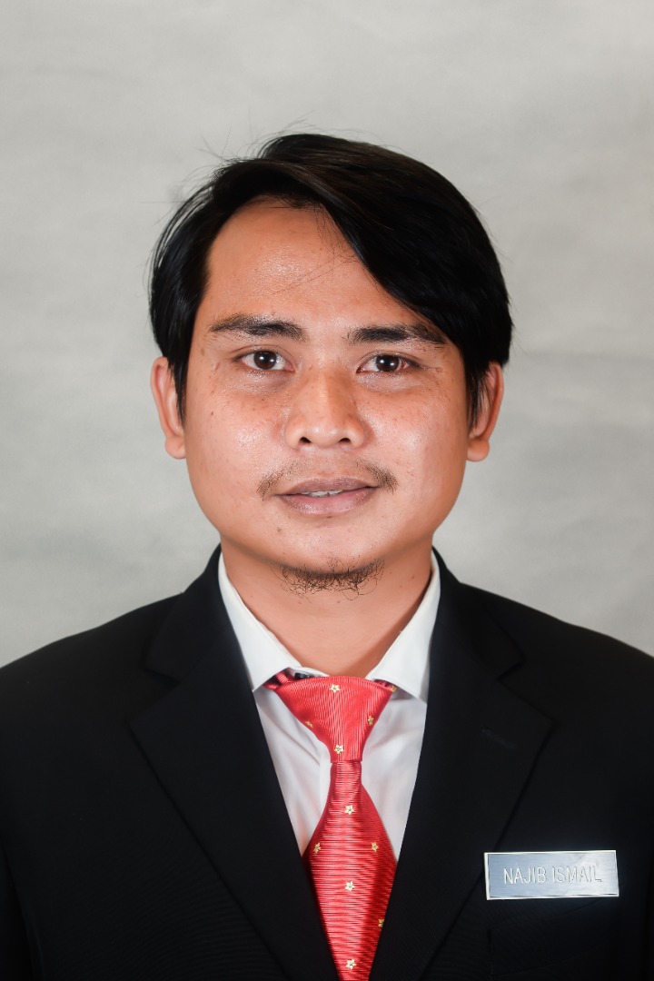 NAJIB BIN ISMAIL